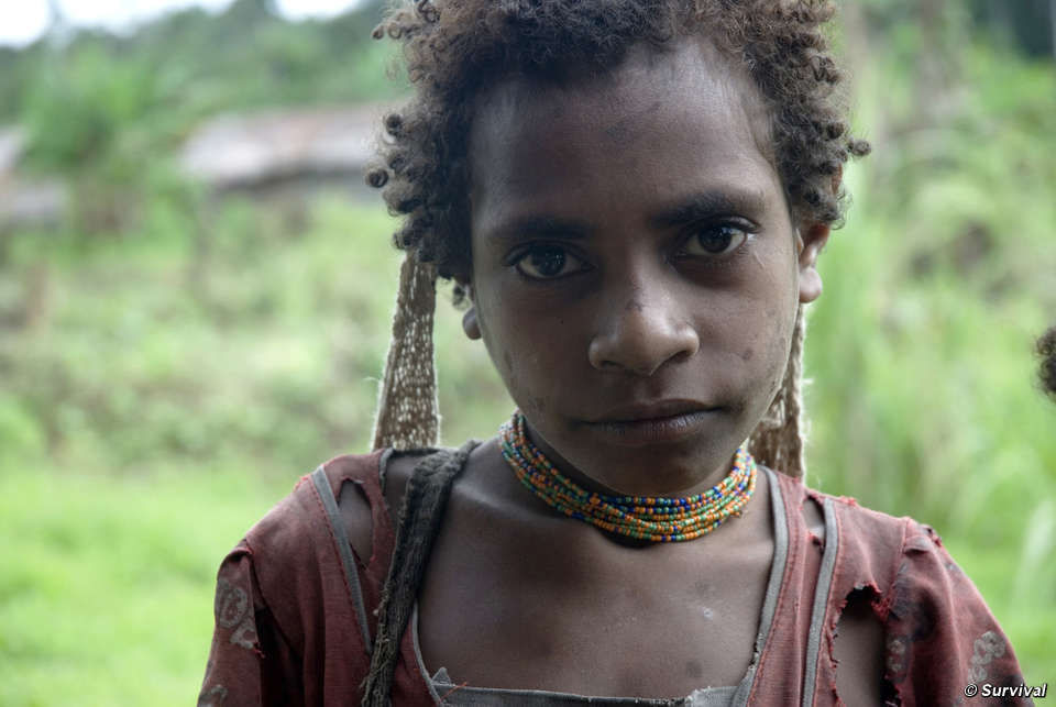 Derita Suku Korowai di Rimba Papua – IndoPROGRESS